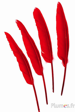 Schwan - 28-33 cm - rot